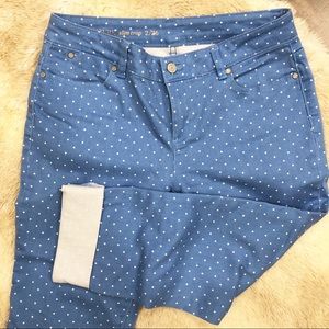 Talbots Slim Crop Polka-dot Jeans Size 2